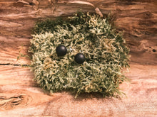 Load image into Gallery viewer, Black Claymer Studs