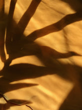 Load image into Gallery viewer, The Varuna

